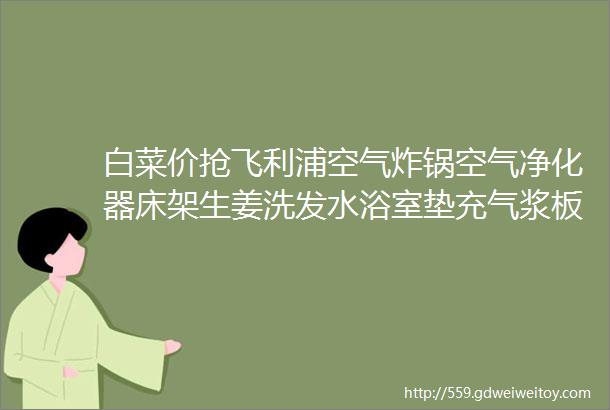 白菜价抢飞利浦空气炸锅空气净化器床架生姜洗发水浴室垫充气浆板