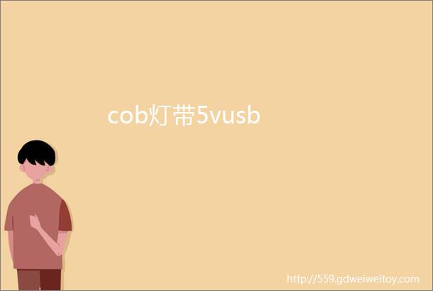 cob灯带5vusb