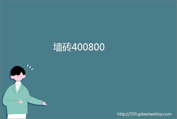 墙砖400800